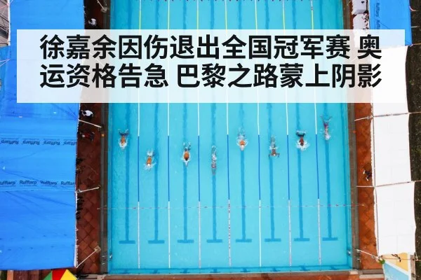 徐嘉余因伤退出全国冠军赛 奥运资格告急 巴黎之路蒙上阴影